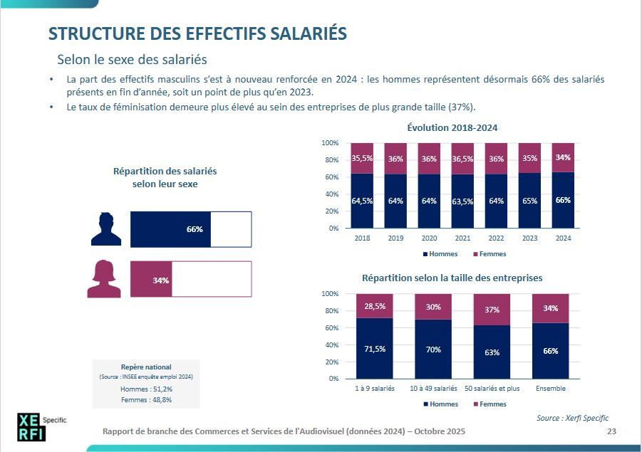 STRUCTURE DES EFFECTIFS SALARIÉS - Rapport de branche des Commerces et Services de l'Audiovisuel (données 2024) – Octobre 2025
