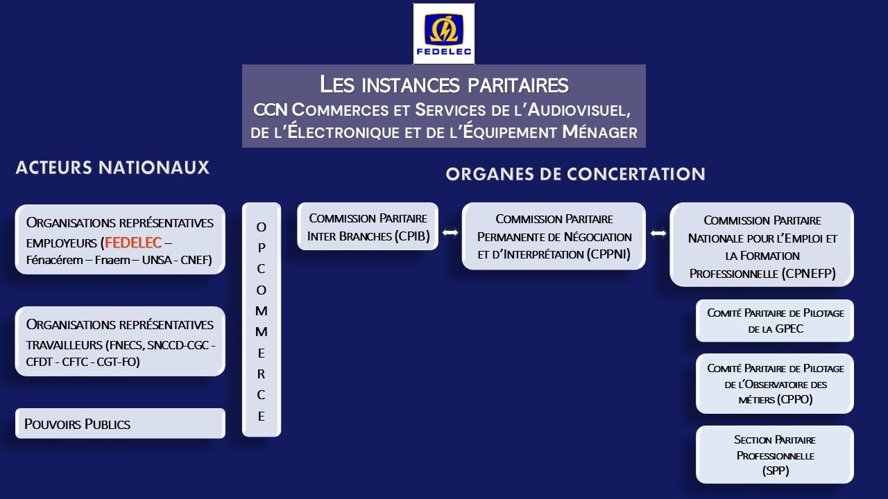 Instances Paritaires de la CCN : Piliers de la Convention Collective Nationale des Commerces et Services de l'Audiovisuel, de l'Électronique et de l'Équipement Ménager