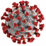 coronavirus
