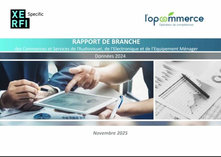 RAPPORT DE BRANCHE des Commerces et Services de l’Audiovisuel, de l’Electronique et de l’Equipement Ménager Données 2024